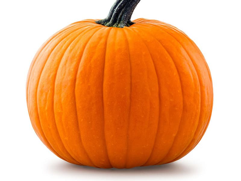pumpkin health